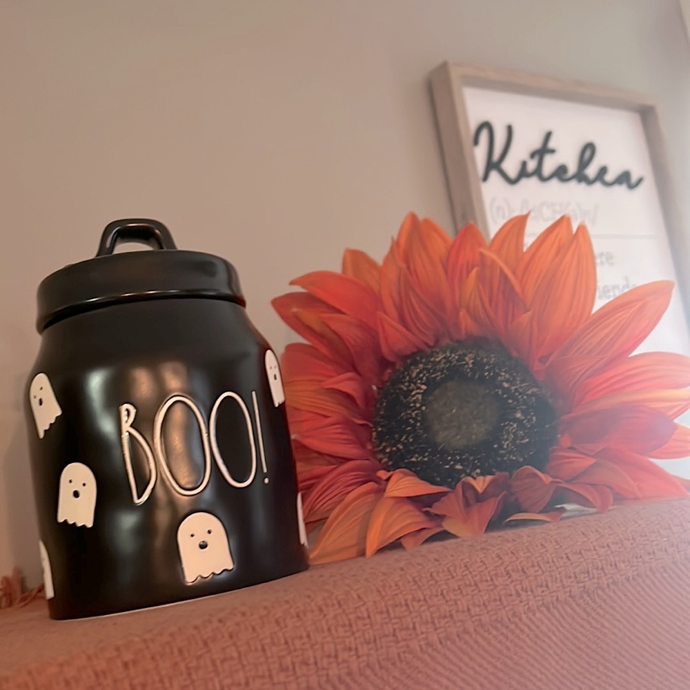 Boo rae dunn canister